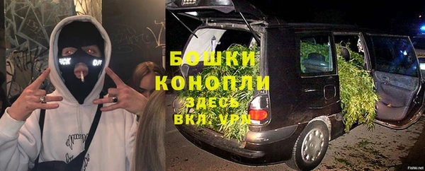 apvp Арсеньев
