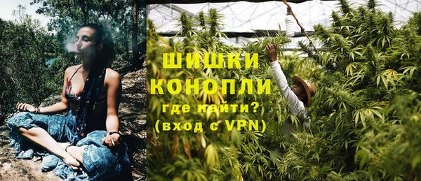 индика Армянск