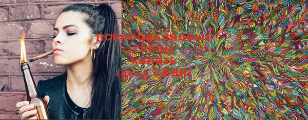 MESCALINE Аркадак