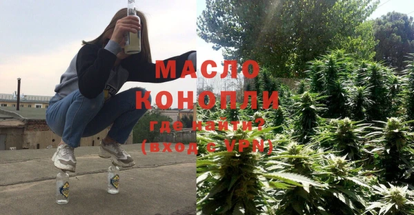 индика Армянск